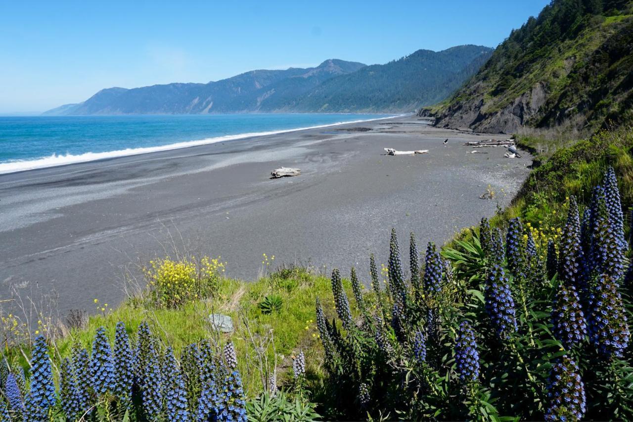Lost Coast Hideaway Shelter Cove Zewnętrze zdjęcie